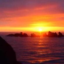 Team members working at desks