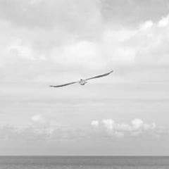 Graduates holding certificates
