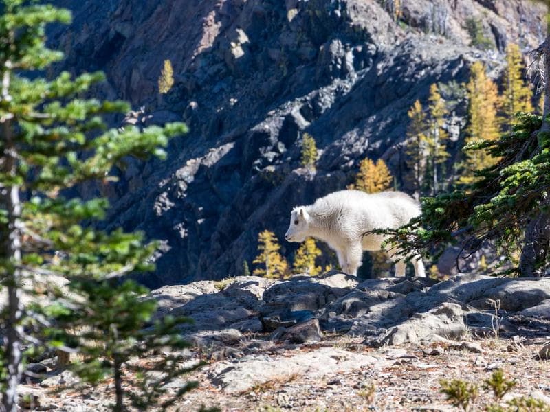 Digital transformation in an office