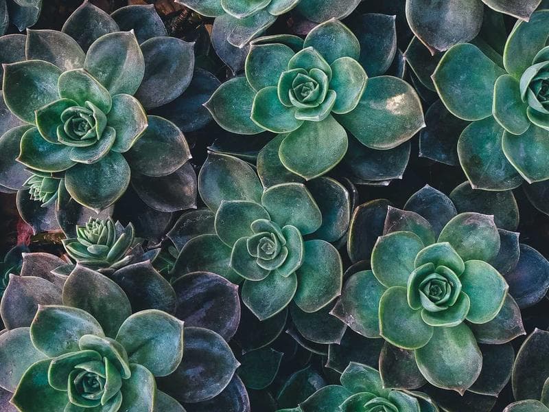 modern campus building