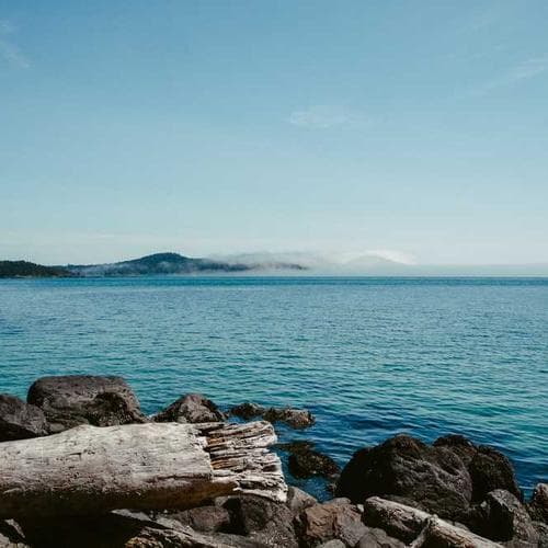 Team focused on quality